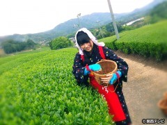 #11 お茶の里・宇治から聞こえる音色