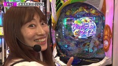 #233 ペアパチ/e新海物語349/新世紀エヴァンゲリオン〜未来への咆哮〜/Pフィーバー 機動戦士ガンダムユニコーン/Pフィーバー機動戦士ガンダムSEED