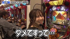 #247 ペアパチ/Pフィーバー炎炎ノ消防隊/P北斗の拳 暴凶星/Pラブ嬢 〜極嬢のハーレム体験〜/P化物語 199ver.