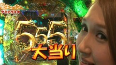 #13 ペアパチ/AKB48 バラの儀式/CR牙狼 金色になれ