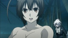 最終羽　縁ノ鶺鴒