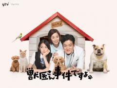 獣医さん、事件ですよ
