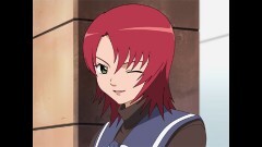 ＃7　迷子の仔猫たち