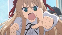 第1話　迷い猫、駆けた