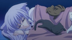 第2話　迷い猫、笑った
