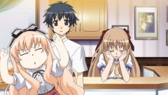第6話　迷い猫、困った