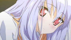 第11話　迷い猫、割れた