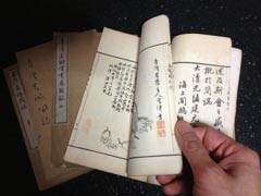 徳川埋蔵金伝説　大発掘プロジェクト2014　将軍家の暗号