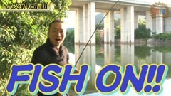 #273 嵐・梅屋のスロッターズ☆ジャーニー/香川★後編