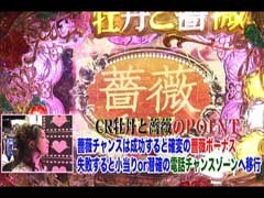 #84ﾋﾞﾜｺのﾗﾌﾞﾌｧｲﾀｰ?CR牡丹と薔薇