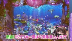 #337 ビワコのラブファイター/Pスーパー海物語 IN 沖縄5 夜桜超旋風