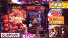 #118 ビワコのラブファイター /CR綱取物語