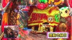 #177 ビワコのラブファイター/ＣＲ緑ドン　花火ＤＥボ〜ンジョルノ