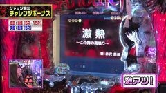 #208 ビワコのラブファイター/CR Another FPS