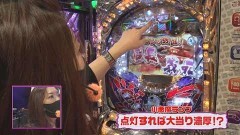 #329 ビワコのラブファイター/ぱちんこ戦国コレクションBLACK