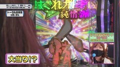 #333 ビワコのラブファイター/Pはぐれ刑事純情派