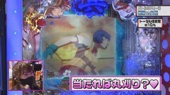 #336 ビワコのラブファイター/P真・一騎当千