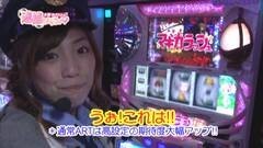 #38 逮捕しちゃうゾ/ハーデス/まどマギ/沖トロ/ハナビ