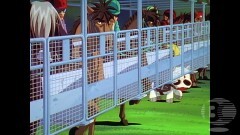 第60話　史上最大のレース!!