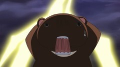第5話　さがして、くまくま