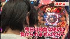 #37 ビジュR1/CR神獣王2/ぱちんこCR北斗の拳6拳王