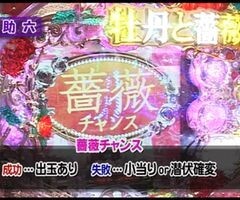 XX第6章 #8ﾊﾟﾁﾏｶﾞMEGA WARS.?ヱｳﾞｧﾝｹﾞﾘｦﾝ7/牡丹と薔薇