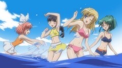 #6 誘惑のエメラルドグリーン