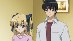 #12 無邪気なエバーグリーン