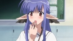 第16話 キキョウ