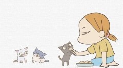 #11 伝播する文化