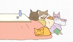 #23 風呂トメ／うたたね
