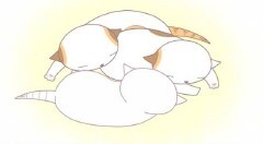 #29 のだが･･･／遊ぶの！