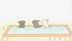 #20 続・くるねこ保育園