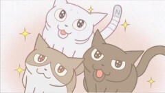 #29 缶詰の音