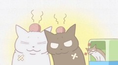#36 猫に教えられたこと