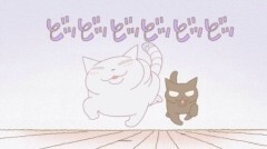#41 猫の失敗