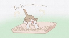 #44 尾張の黒豹、ぼん太夫／トメのもふ