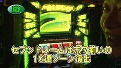 #250 パチバト｢19ｼｰｽﾞﾝ｣/ハナハナ-30/スーパービンゴネオ