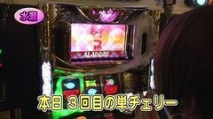 #258 パチバト｢20ｼｰｽﾞﾝ｣/ハーデス/パチスロ アラジンA?