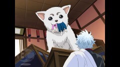 第45話　愛犬の散歩は適度なスピードで