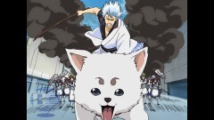 第70話　可愛いモノも多すぎると気持ち悪い