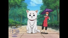 第72話　犬の肉球はこうばしい匂いがする／かもしれない運転でいけ
