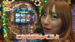 #23 ポコポコ/大海物語BLACK　LIGHT/ドラムロイド