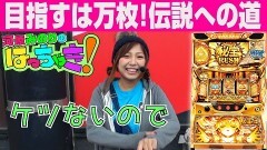 #49 はっちゃき/秘宝伝 〜伝説への道〜