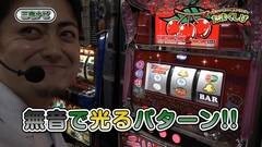#22 たまくしげ/チェリーパラダイス/ひまわりパラダイス/アニマル