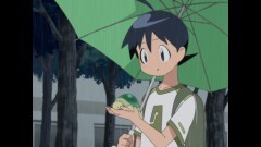 第226話　冬樹　遠い海から来たカメ　であります