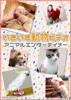 いきいき動物ビデオ