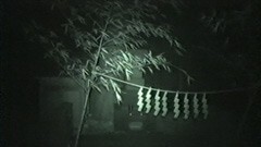 闇動画13　恐怖の心霊怪奇映像集