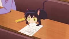#43 黒猫段位テスト
