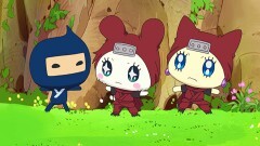第62回　第123話「レッツくのいち修行！でござる」／第124話「あつあつ！さぶさぶ！席がえパニック」